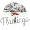 Flamingos