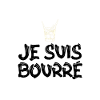 surprise je suis bourré