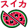 Cute suika watermelon