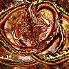 kaido de feu
