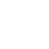 professional engineer