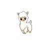 Funny Llama Lover Llama Whisperer