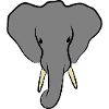 Elephant Head Minimalist