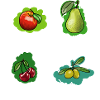 Apple, Pear, Cherry