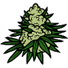 BUBATZEN Cannabis Tuber