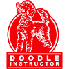 Doodle Instructor red