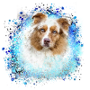 Australian shepherd, blue,graffiti, painting,dog