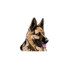 Deutscher Schäferhund Hund