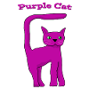 Purple Cat