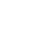 Craftsman Mechanic Screwdriver Craft