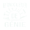 Bricoleur de génie 2