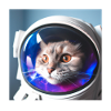 Cat in space
