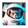 Cat in space