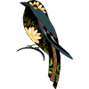 Vogel