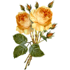 Blumen