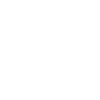Flinemant