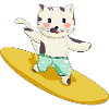 Funny Surf Cat