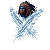 Federschmuck
