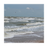 Sea holidays on the beach