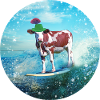 Cowstria goes surfing