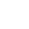 Bronx