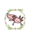 Futur plongeur axolotl
