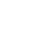 Polk High 33 white