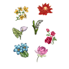 Flower Flower-Species