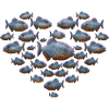 Piranha Geschenk
