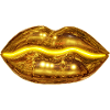 Baiser d’or