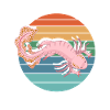 Axolotl Questions
