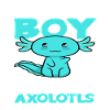 Axolotl Jungs Geschenk