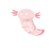 Axolotl Homework