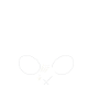 USA Papa Badminton