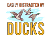 Entenjagd Entenjäger Vogeljagd