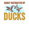 Entenjagd Entenjäger Vogeljagd