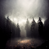 Dunkler Wald