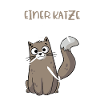Anatomie einer Katze