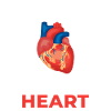 Driven by a donated heart