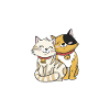 Katze Tier Katzen Geschenk