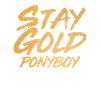 Stay Gold Ponyboy