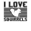 I love squirrels