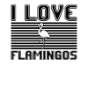 I love flamingos