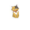 Katze Tier Katzen Geschenk