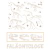 Paleontologist Dinosaurs Paleontology Bones