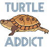 Turtle addict - turtle fan