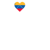 Venezuela Home Venezuela Flag