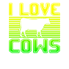 I love cows