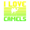 I love camels