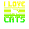 I love cats
